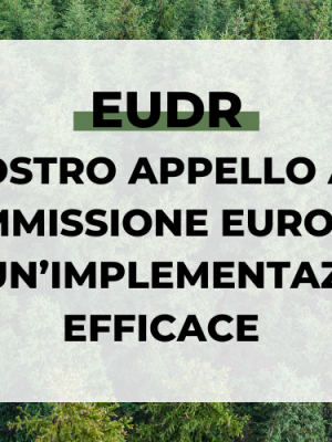 EUDR - Lettera alla Commissione UE - Competere