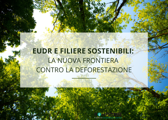 EUDR e filiere sostenibili: la nuova frontiera contro la deforestazione